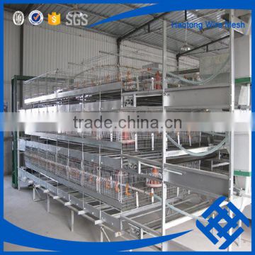High quality price battery cages ( anping factory )