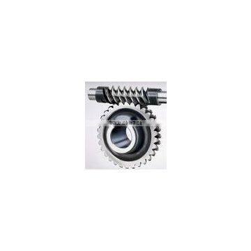 Worm Gear/Worm and Wheel