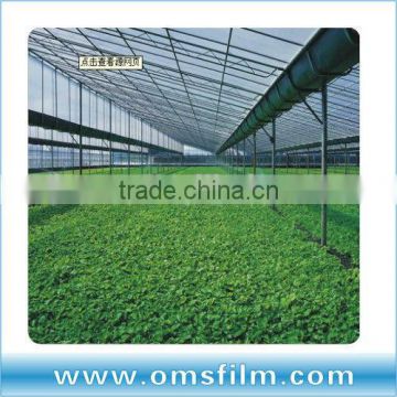 Agricultural Greenhouse Film for Hydroponic System