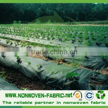 Agriculture PP Spunbond Non Woven Fabric Weed Control Mat