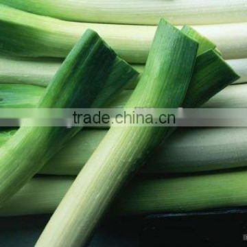 frozen green chinese onion