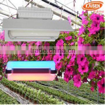 60w new product jiangsu red blue color full spectrum plant light