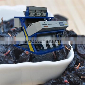 CE certificated 192 Channels Dried Ribes nigrum CCD Color Separating machine