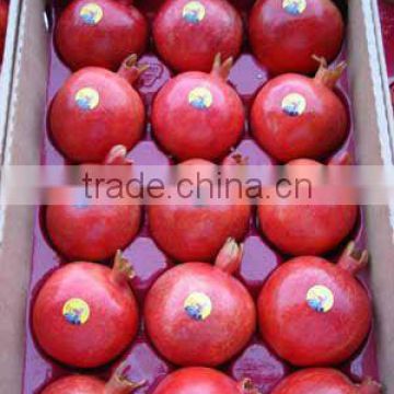Bulk Of Pomegranates from Egypt