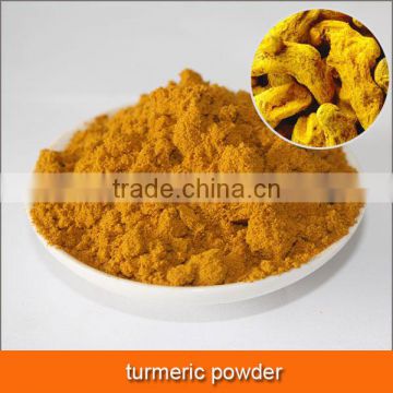 turmeric powder best price