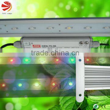 IP66 LED bars for growing spice berry