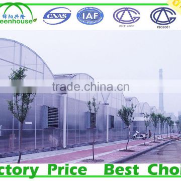 Double Layer Inflation and Film Cover Material Multi Span Prefabricated Greenhouse for Agricultural