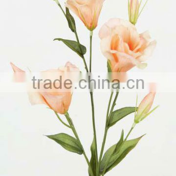 wedding shop exporter peach lisianthus