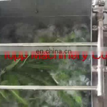 Fully automatic air bubble vegetable washing machine
