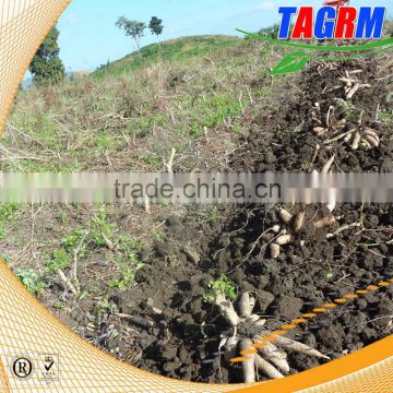 Agricultural equipment tractor mounted cassava harvester with good working performance