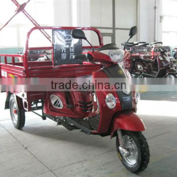 XF110ZH-6A disabled tricycle