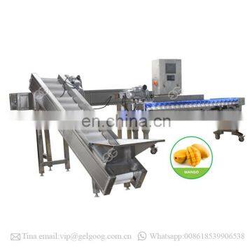 Automatic Onion Potato Sorting Machine Fruit Weight Grading Machine