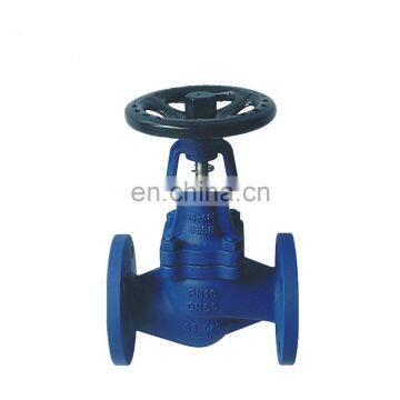 China Supplier DIN Standard DN50 DN80 DN100 Bellow Globe valve