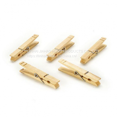 Wooden pegs