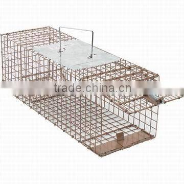 rat cage