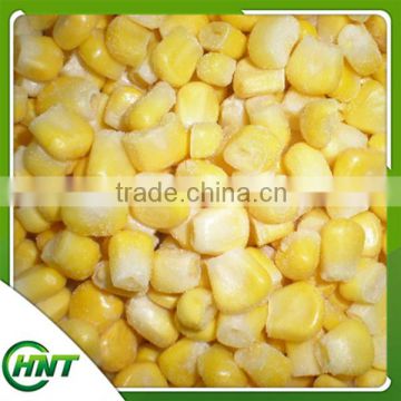 Frozen Iqf Sweet Corn Kernel In China