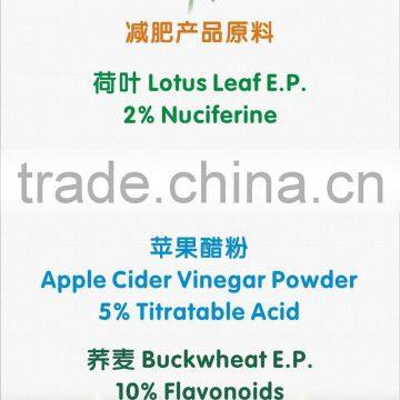 Lotus Leaf Extract Powder 5% Nuciferine
