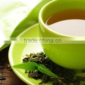 HOT SALE HIGH QUALITY GREEN TEA FROM VIETNAM