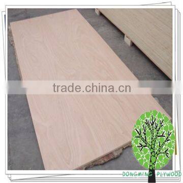 Container Ply Wood