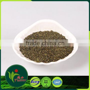 china green tea bag
