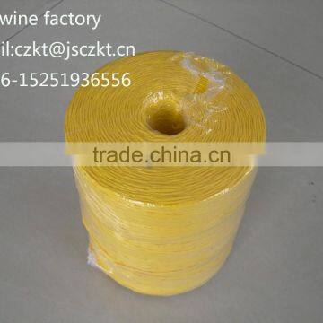 china wholesale colored pp twisted twine