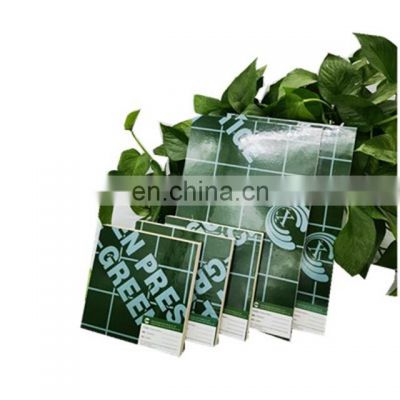 Green PP Plastic Plywood Birch Plywood 1220*2440*12mm Prices For Construction Plywood