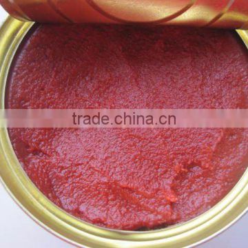 manufacturer direct sell canned tomato paste export to africa