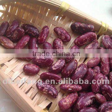 Purple Speckled Kidney Bean( New crop, Heilongjiang Origin, Hps)