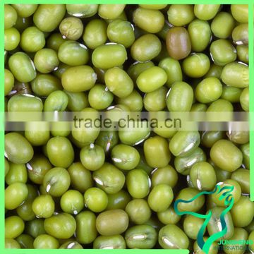 Green Mung Beans Of China Origin
