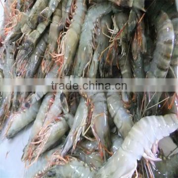 frozen bbq shrimp