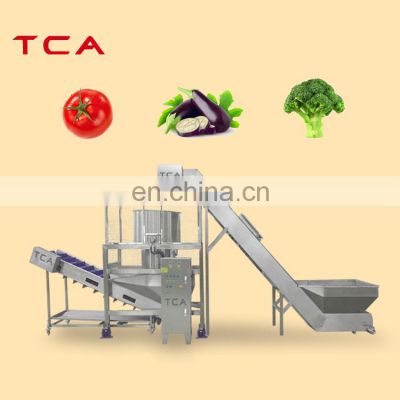 400 KGH Fully automatic other fruit & vegetable machines frozen fruit and vegetable washing machine