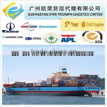 Cheap Sea freight from Guangzhou/Shenzhen/Shanghai China to Hamburg, Germany