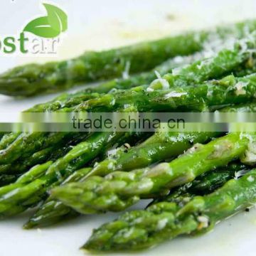 2013 New crop asparagus spears