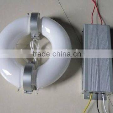 40-300w Round Induction Lamp and Electronic Ballast