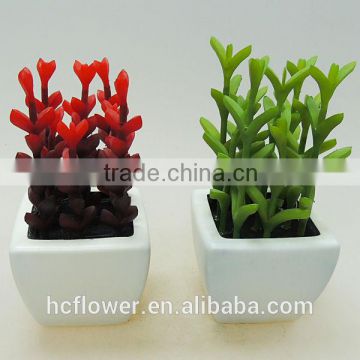 New model art ceramic potted plants