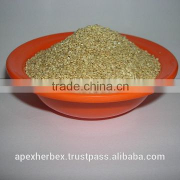 Apex Supplies Quality Quinoa / Chenopodium quinoa / Quinoa Grain /Quinoa Bulk Grain