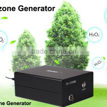 Ozone generator air purifier home 110V-220V ozone output 200mg/h