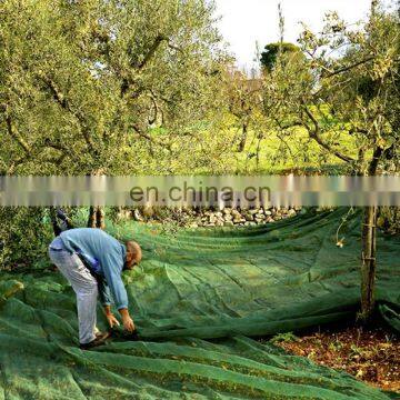 Greece Popular Olive Protection and Harvest Nets with UV stabalizer