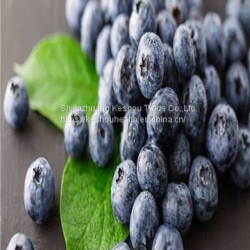 Bilberry extract,PLANT EXTRACT,Solvent Extraction