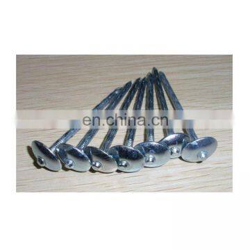 Plastic Cap Umbrella Head Roofing Nails For factory price