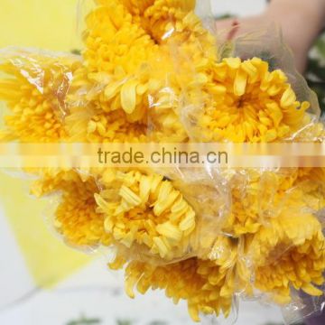 Pure and mild flavor hot selling fresh single chrysanthemum