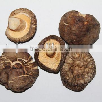 Dried Shiitake Mushroom ( CAP 4-5 CM )