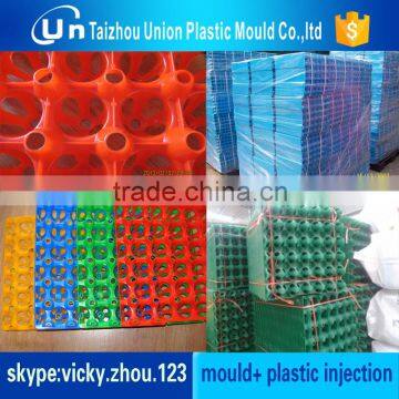 Professional high quality injection plastic egg tray mold manufacturer