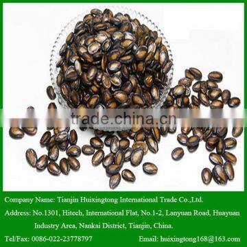 China Wholesale Black Watermelon Seeds for Human Consumption