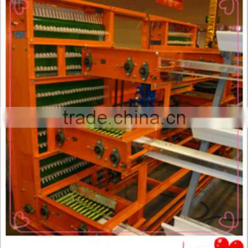 Automatic egg collecting machine for sale hot in poultry chicken farm