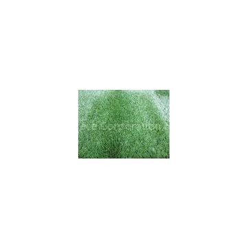 12800Dtex Four Colored Outdoor Synthetic Artificial Landscaping Turf