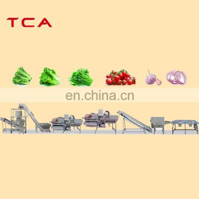 1000KG/H Full Automatic stainless steel 304 industry vegetable and fruits washing processing line