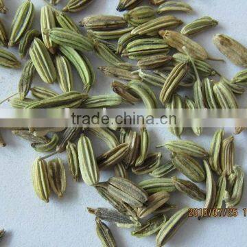 fennel seeds