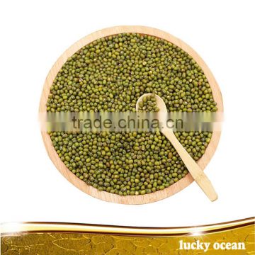 2015 crop green mung beans