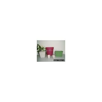 Pulp Molded Plant Nutrition Cup